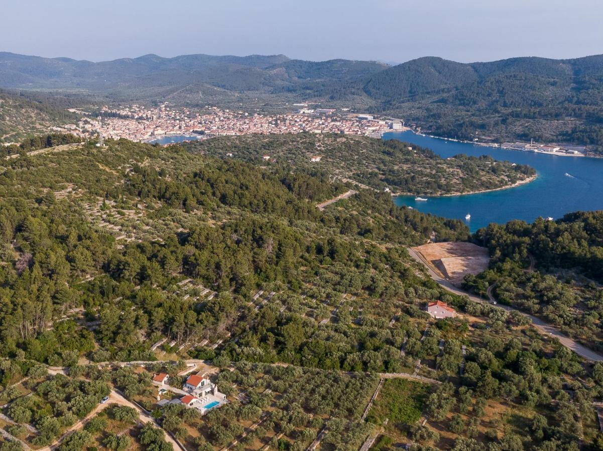 Villa Barbara - Olive Paradise, With Chlorine-Free Pool Vela Luka Exterior photo